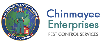 Chinmayee Enterprises Logo