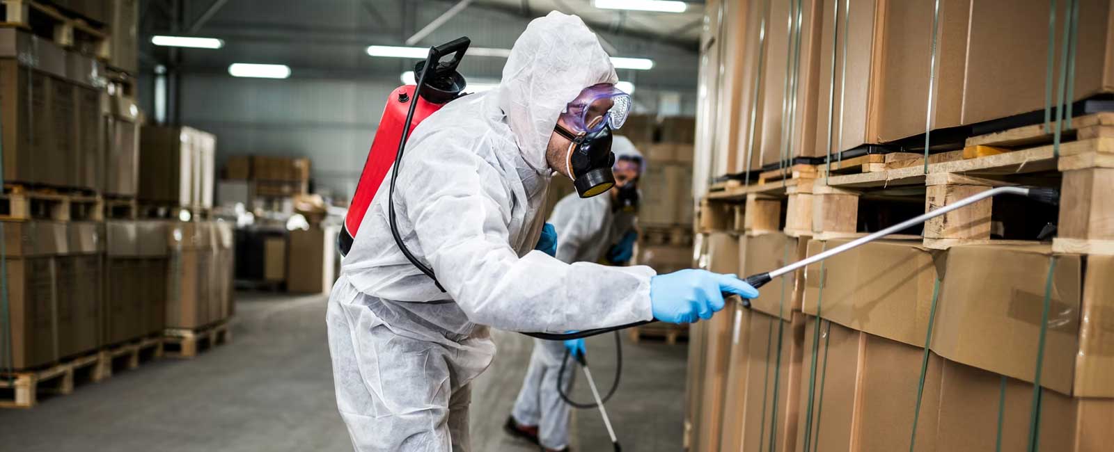 Bed Bug Control Services