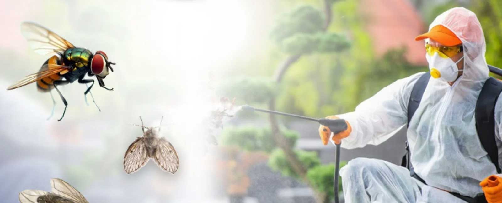 Bed Bug Control Services