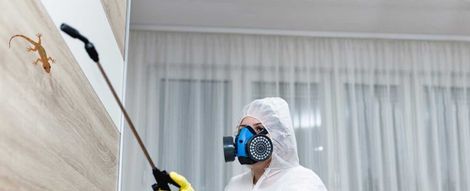 Lizard Control Services