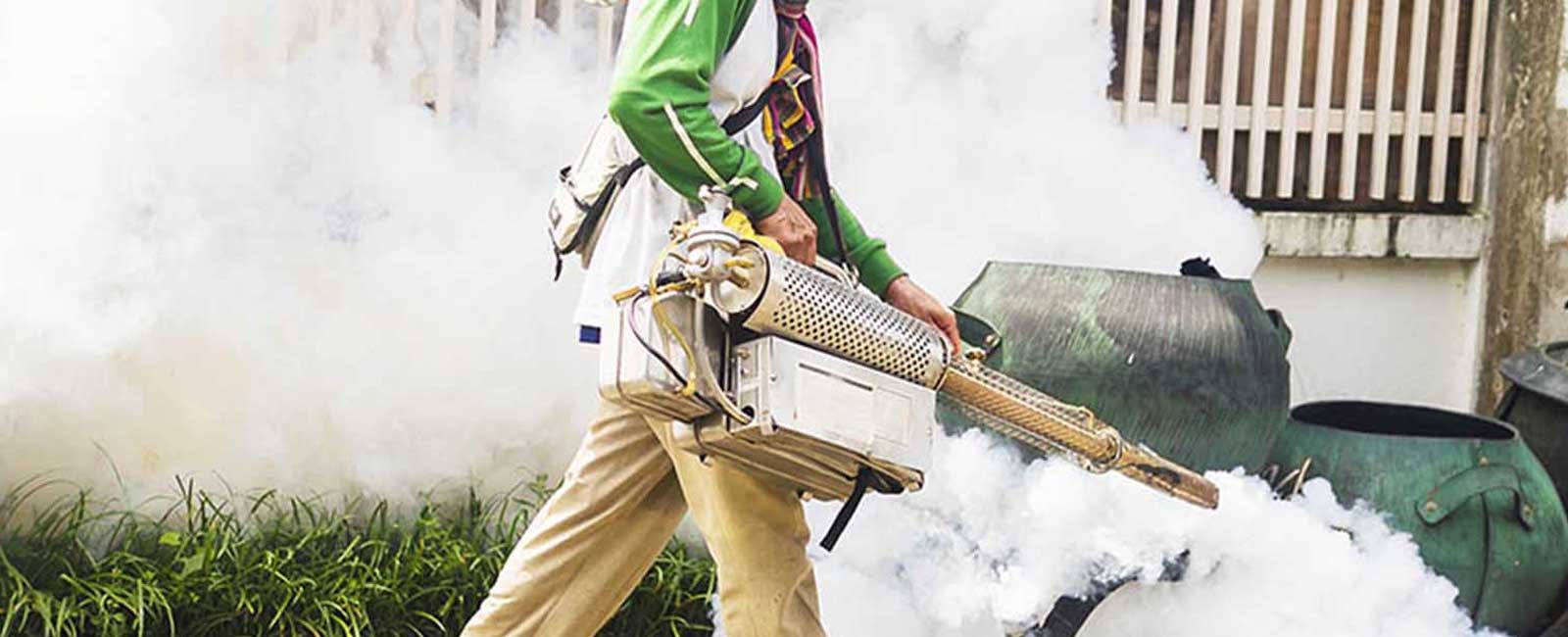 Mosquito Control Services