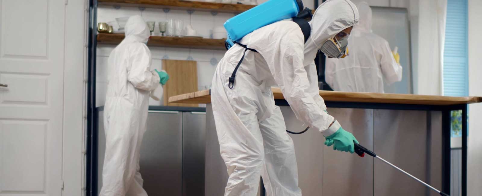 Cockroach Control Services