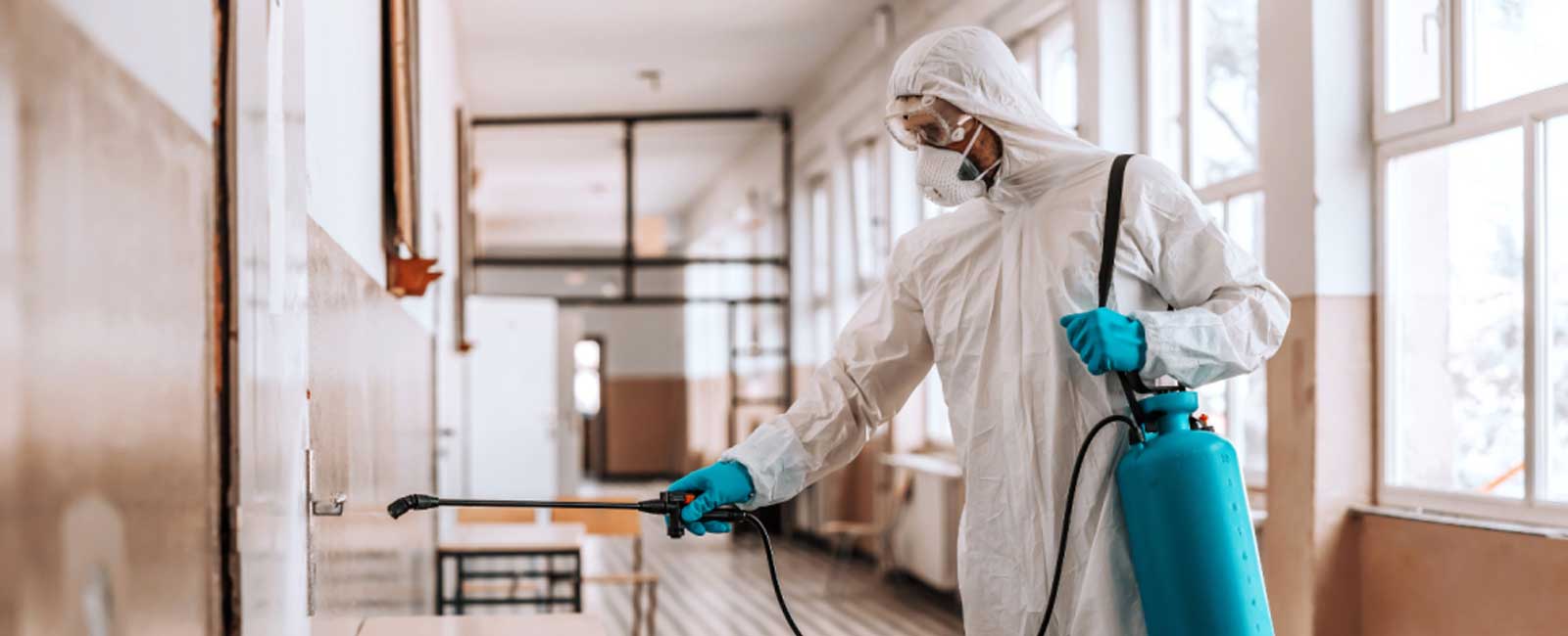 Termite Control Services